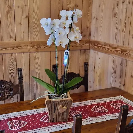 La Maison Des Coeurs, *