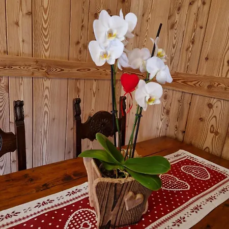 La Maison Des Coeurs, Apartment Cogne